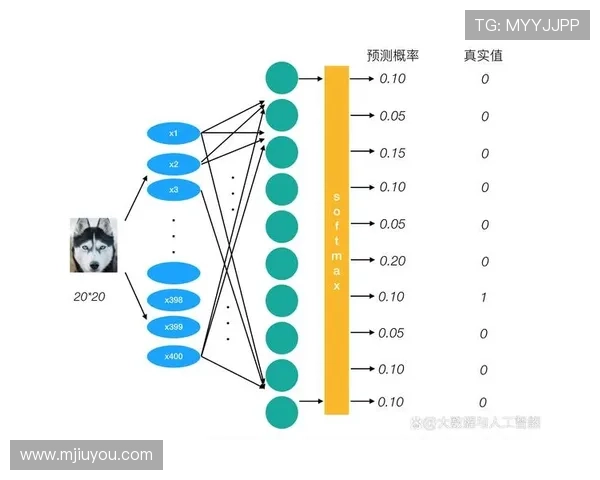 视讯官网在提升用户互动体验方面的创新应用与发展趋势